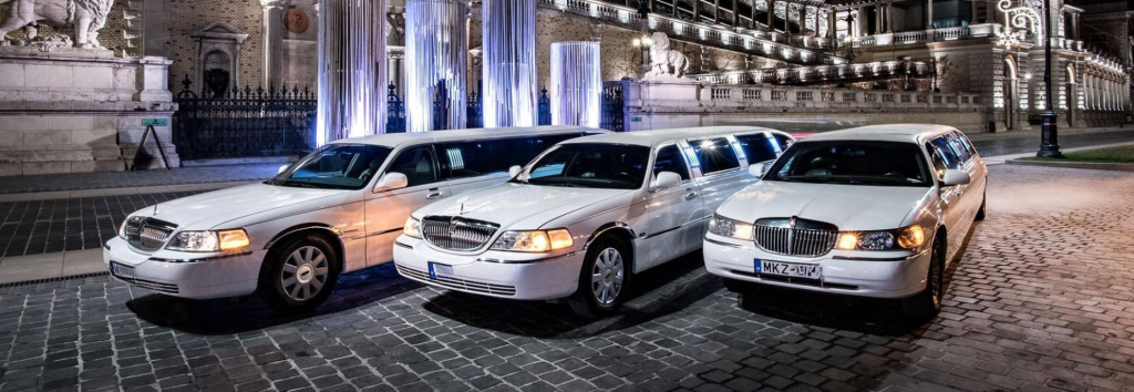 Lincoln Mkz Stretch Limo