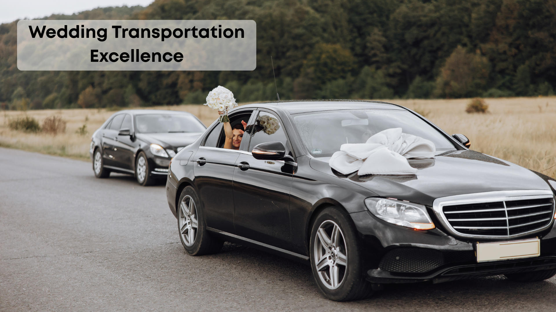 Limo Service Brampton